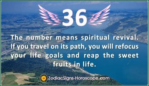 
ANGEL NUMBER 36
